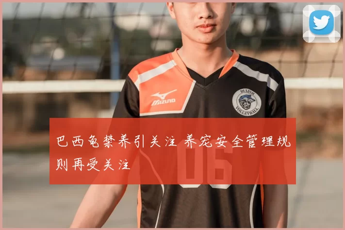 巴西龟禁养引关注 养宠安全管理规则再受关注