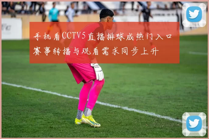 手机看CCTV5直播排球成热门入口 赛事转播与观看需求同步上升
