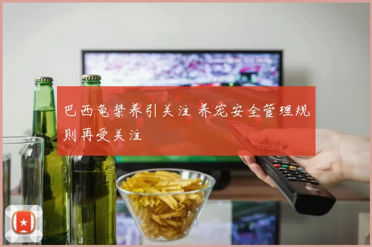 巴西龟禁养引关注 养宠安全管理规则再受关注