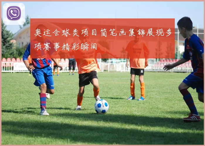 奥运会球类项目简笔画集锦展现多项赛事精彩瞬间